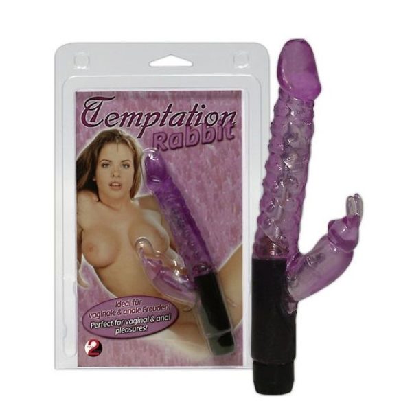 TEMPTATION RABIT