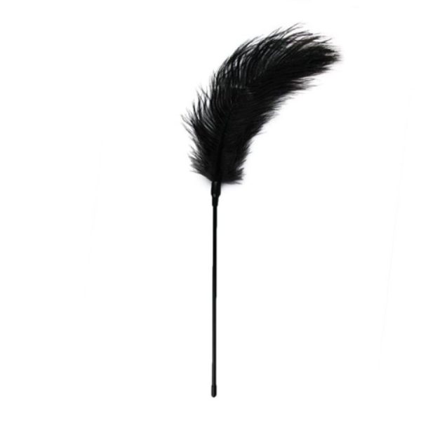 PLUMA EASYTOYS NEGRA