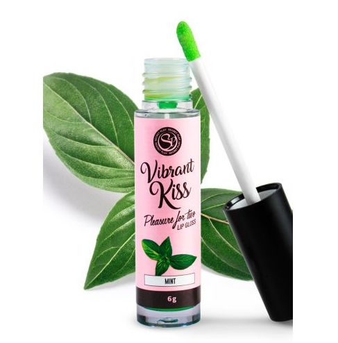 LIP GLOSS VIBRADOR MENTA