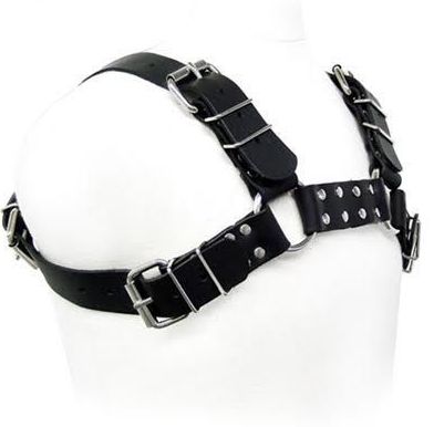 ARNES BODY BLACK BULL DOG