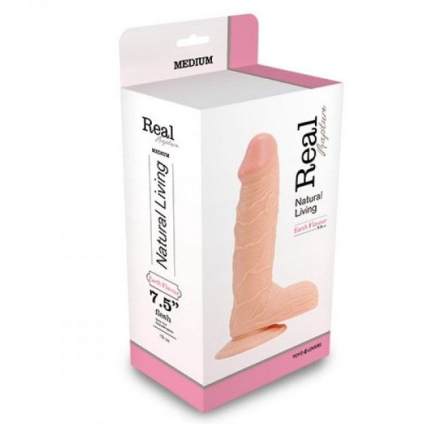 REAL RAPTURE 7.5" 19 CM.
