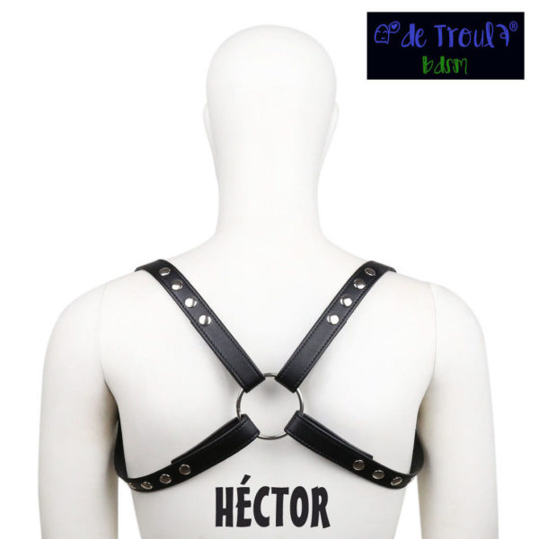 ARNES HECTOR