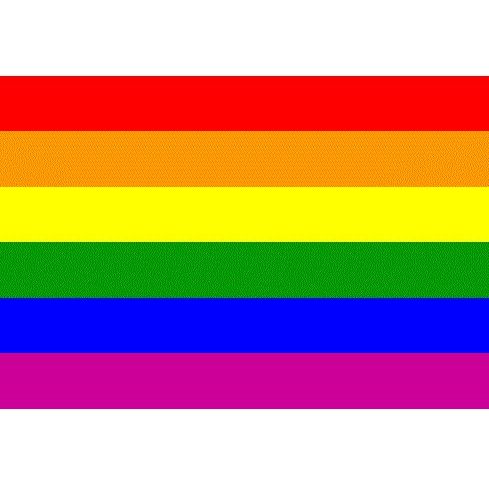 BANDERA ARCOIRIS 150 X 250 CM