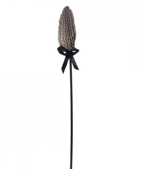 PLUMA FEATHERS