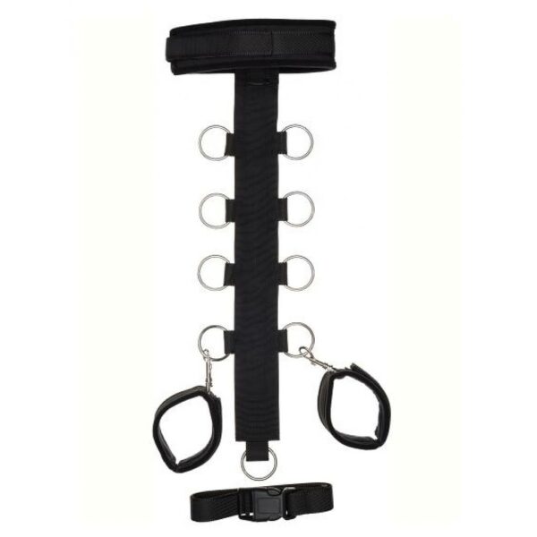 COLLAR RESTRICCION ARGUS