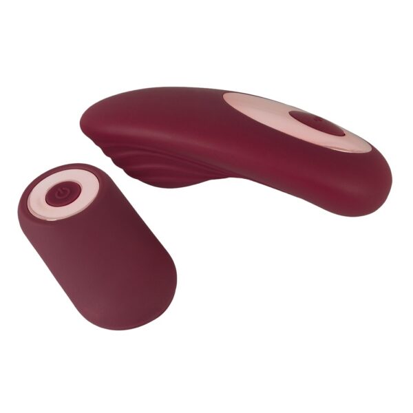 PANTY VIBE RC USB