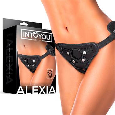 ARNES ALEXIA INTOYOU