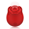 MIA ROSE 2.0 DOS CABEZALES USB - Imagen 3