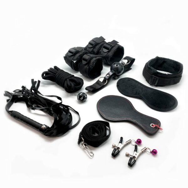 KIT FURY ALIVE 10 PZAS