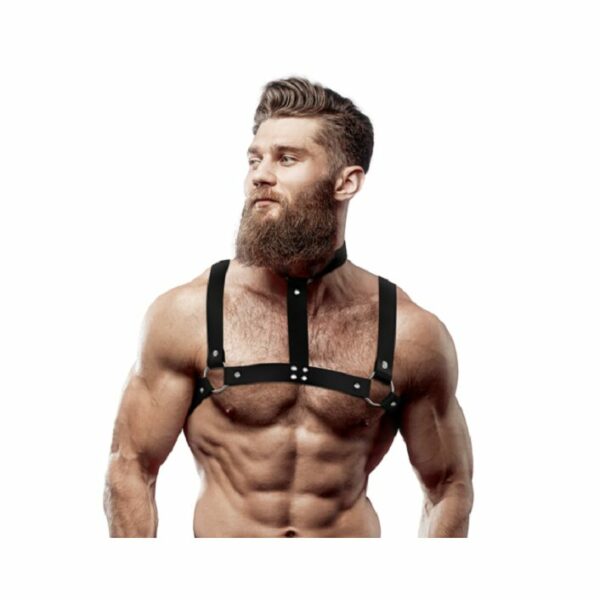 ARNES COLLAR FETISH