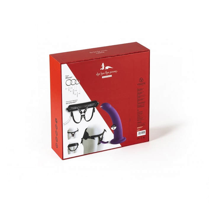 ARNES VIRGITE S SHE HAS THE POWER - Imagen 3