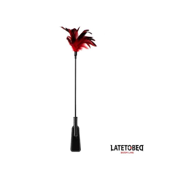 PALA CON PLUMAS LATETOBED