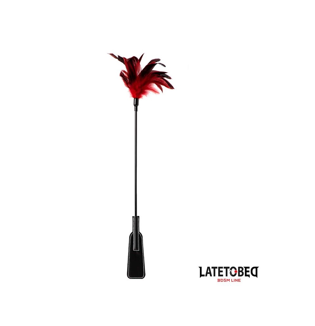 PALA CON PLUMAS LATETOBED