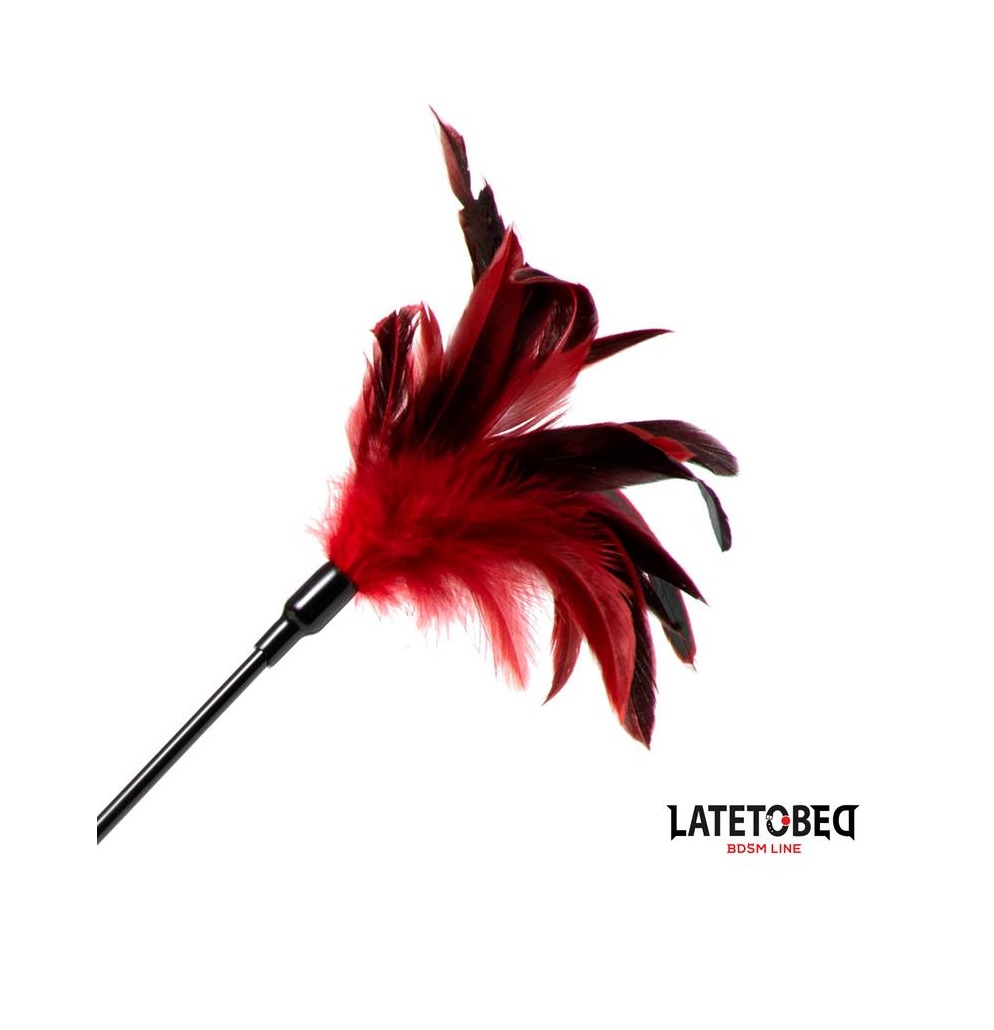 PALA CON PLUMAS LATETOBED - Imagen 4