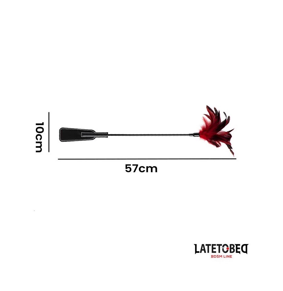 PALA CON PLUMAS LATETOBED - Imagen 2